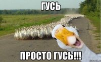 гусь просто гусь!!!