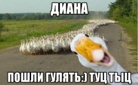 Диана Пошли гулять:) туц тыц