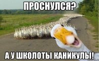 проснулся? а у школоты каникулы!