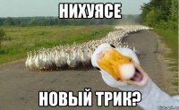 НИХУЯСЕ Новый трик?