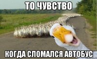 То чувство Когда сломался автобус