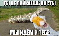 ты не лайкаешь посты мы идём к тебе