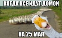 Когда все идут домой на 25 мая