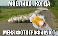 Моё лицо , когда меня фотографируют