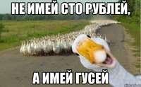 Не имей сто рублей, А имей гусей