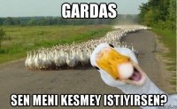 gardas sen meni kesmey istiyirsen?