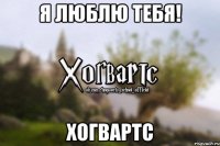 Я люблю тебя! Хогвартс