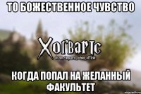 То божественное чувство когда попал на желанный факультет