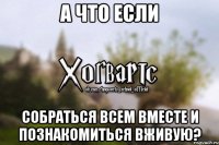 а что если собраться всем вместе и познакомиться вживую?