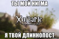 Ты мой Нигма Я твой длиннопост