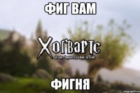 фиг вам фигня