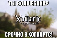 ты волшебник? срочно в хогвартс!