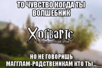 то чувство когда ты волшебник но не говоришь магглам-родственикам кто ты...