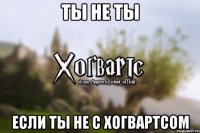 Ты не ты если ты не с Хогвартсом