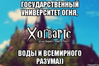 Государственный университет огня, воды и всемирного разума))