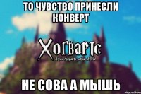 То чувство принесли конверт Не Сова а мышь