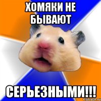 хомяки не бывают СЕРЬЕЗНЫМИ!!!