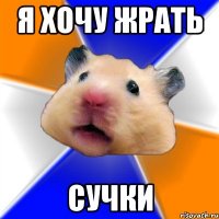 я хочу жрать сучки