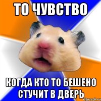 То чувство когда кто то бешено стучит в дверь