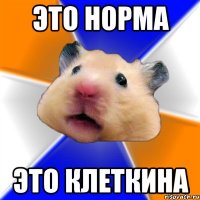 Это норма Это Клеткина