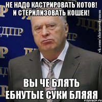 Не надо кастрировать котов! И стерилизовать кошеК! вы че блять ебнутые суки бляяя