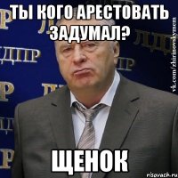 Ты кого арестовать задумал? Щенок