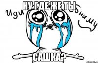 ну где же ты Сашка?