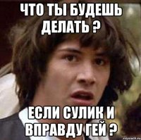 Что ты будешь делать ? если сулик и вправду гей ?