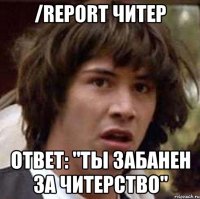 /report Читер Ответ: "ты забанен за читерство"