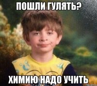 Пошли гулять? химию надо учить