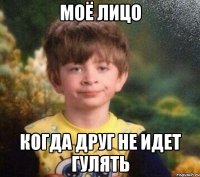 Моё лицо когда друг не идет гулять