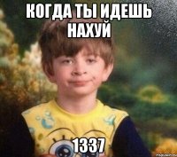 Когда ты идешь нахуй 1337