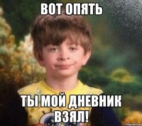 Вот опять ты мой дневник взял!