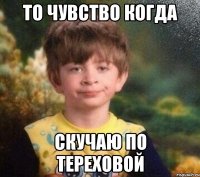 то чувство когда скучаю по тереховой