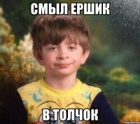 смыл ершик в толчок