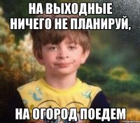 на выходные ничего не планируй, на огород поедем