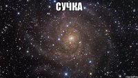 сучка 