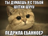 ты думаешь я с тобой шутки шучу педрила ебанное?