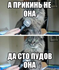 А прикинь не она да сто пудов она