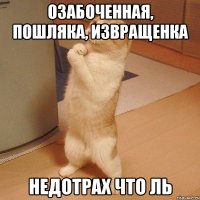 Озабоченная, пошляка, извращенка Недотрах что ль