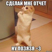 Сделай мне отчет ну позязя =З