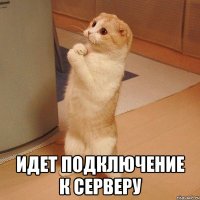  Идет подключение к серверу