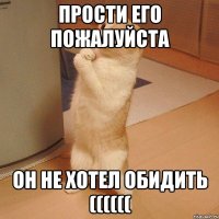 прости его пожалуйста он не хотел обидить ((((((