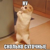 ну сколько суточные