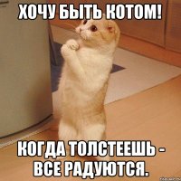 Хочу быть котом! Когда толстеешь - все радуются.