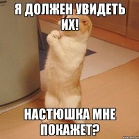 Я должен увидеть их! Настюшка мне покажет?