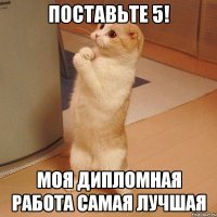 Поставьте 5! Моя дипломная работа самая лучшая