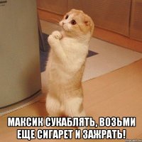  Максик сукаблять, возьми еще сигарет и зажрать!