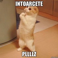 Intoarcete pllllZ