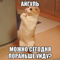 Айгуль можно сегодня пораньше уйду?